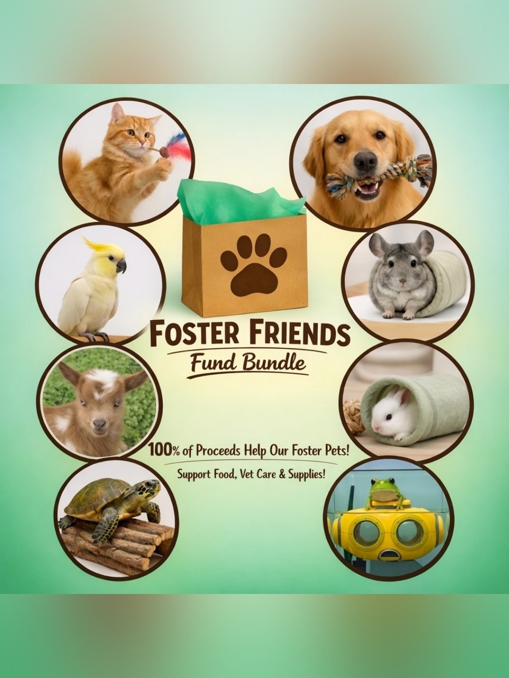 FOSTER SUPPORT BUNDLE~ 100% of Proceeds Go To Care Of Our Foster Pets